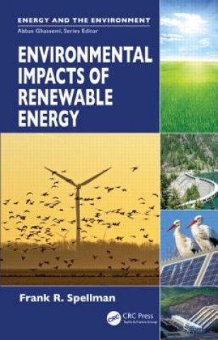 Kniha Environmental Impacts of Renewable Energy Frank R. Spellman