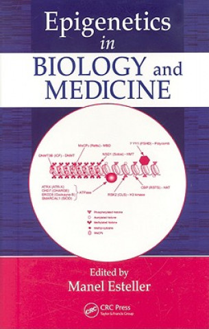 Kniha Epigenetics in Biology and Medicine 