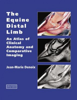 Kniha Equine Distal Limb Jean-Marie Denoix