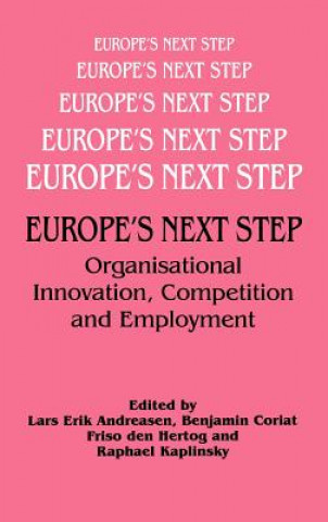 Kniha Europe's Next Step 