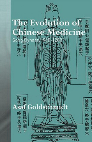 Kniha Evolution of Chinese Medicine Asaf Goldschmidt
