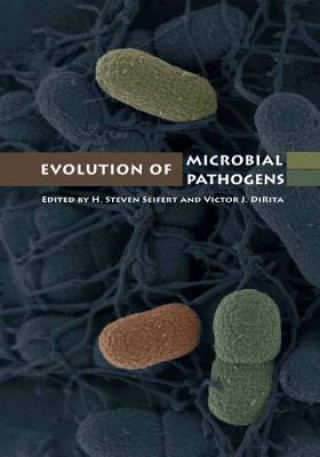 Kniha Evolution of Microbial Pathogens Victor DiRita