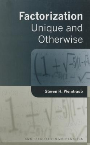 Kniha Factorization Steven H. Weintraub