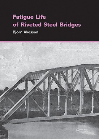 Buch Fatigue Life of Riveted Steel Bridges Bjorn Akesson