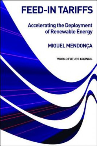 Carte Feed-in Tariffs Miguel Mendonca