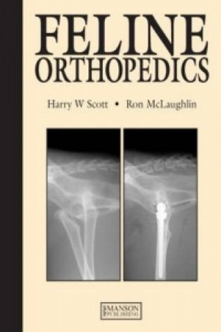 Könyv Feline Orthopedics Ronald McLaughlin