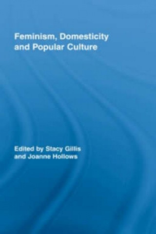 Kniha Feminism, Domesticity and Popular Culture 