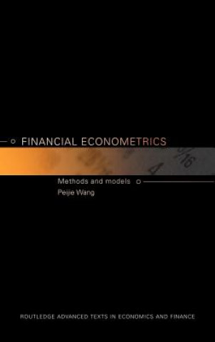 Könyv Financial Econometrics Peijie Wang