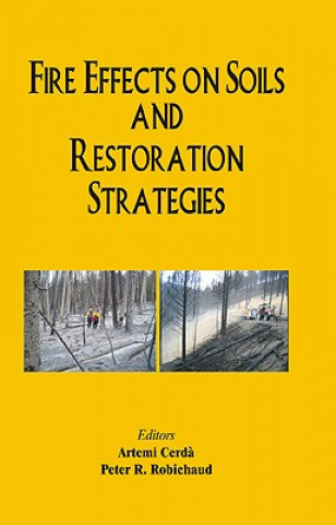 Könyv Fire Effects on Soils and Restoration Strategies Peter R Robichaud