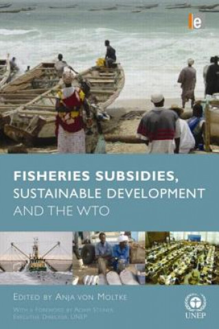 Книга Fisheries Subsidies, Sustainable Development and the WTO Anja Von Moltke