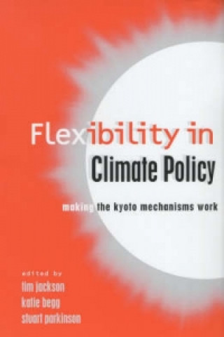 Kniha Flexibility in Global Climate Policy Stuart Parkinson