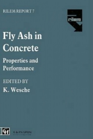 Buch Fly Ash in Concrete 