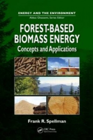 Kniha Forest-Based Biomass Energy Frank Spellman