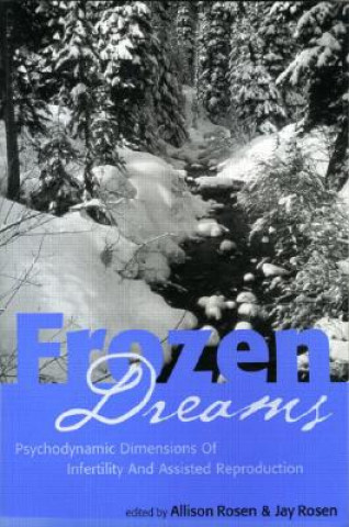 Boek Frozen Dreams Allison Rosen