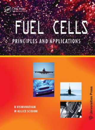 Kniha Fuel Cells M. Aulice Scibioh