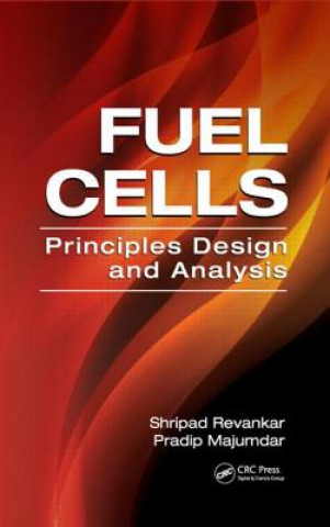 Buch Fuel Cells Pradip Majumdar