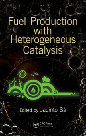 Kniha Fuel Production with Heterogeneous Catalysis 