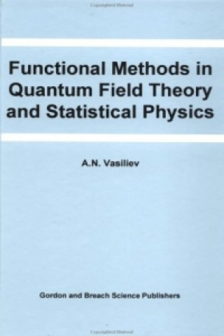 Książka Functional Methods in Quantum Field Theory and Statistical Physics A.N. Vasiliev