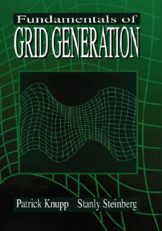 Kniha Fundamentals of Grid Generation Steinberg