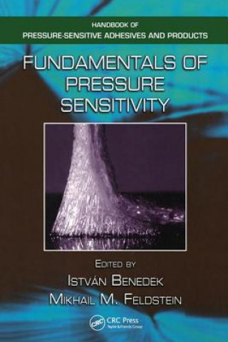 Kniha Fundamentals of Pressure Sensitivity 