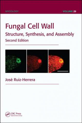 Carte Fungal Cell Wall Jose Ruiz-Herrera
