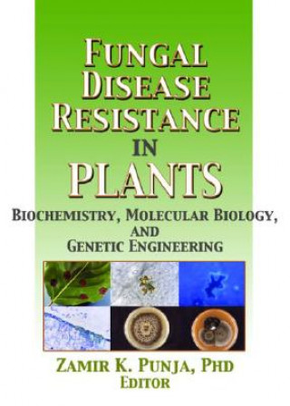 Książka Fungal Disease Resistance in Plants 