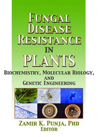 Kniha Fungal Disease Resistance in Plants Zamir Punja