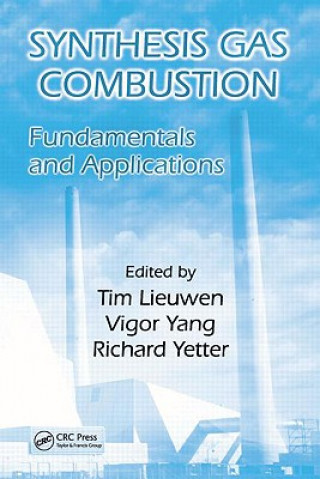 Buch Synthesis Gas Combustion Tim Lieuwen