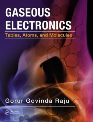 Boek Gaseous Electronics Gorur Govinda Raju