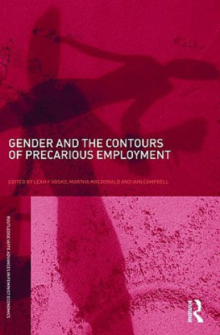 Kniha Gender and the Contours of Precarious Employment 