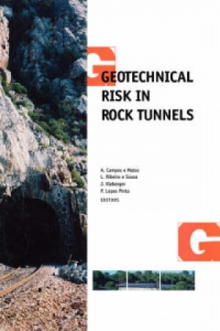 Kniha Geotechnical Risk in Rock Tunnels 