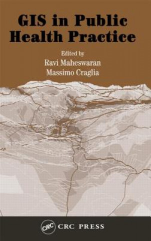 Книга GIS in Public Health Practice Massimo Craglia
