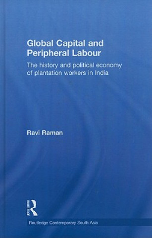 Libro Global Capital and Peripheral Labour Ravi Raman