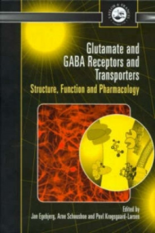 Kniha Glutamate and GABA Receptors and Transporters 