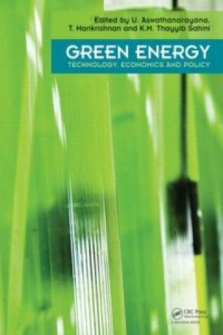 Kniha Green Energy 