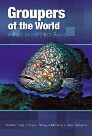 Buch Groupers of the World Phillip C. Heemstra