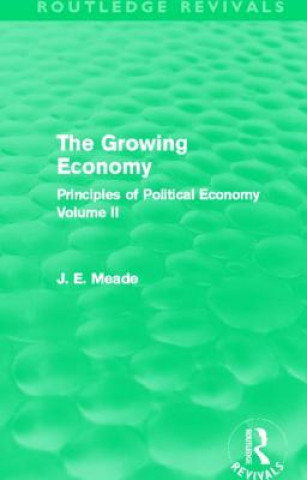 Książka Growing Economy (Routledge Revivals) James E. Meade