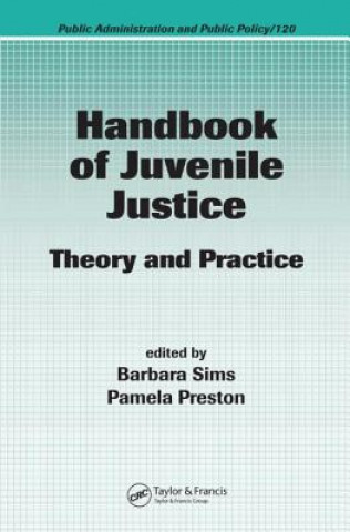 Kniha Handbook of Juvenile Justice 