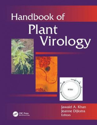 Kniha Handbook of Plant Virology Jeanne Dijkstra