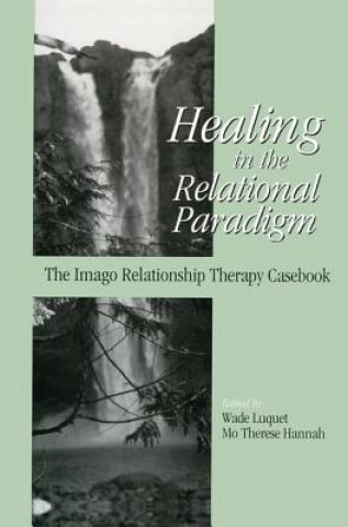 Kniha Healing in the Relational Paradigm 