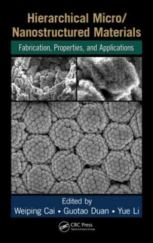 Kniha Hierarchical Micro/Nanostructured Materials Yue Li