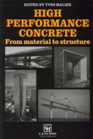 Kniha High Performance Concrete 