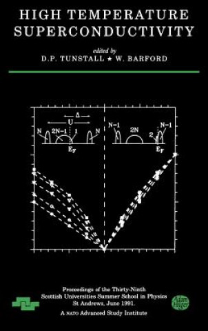 Kniha High Temperature Superconductivity 