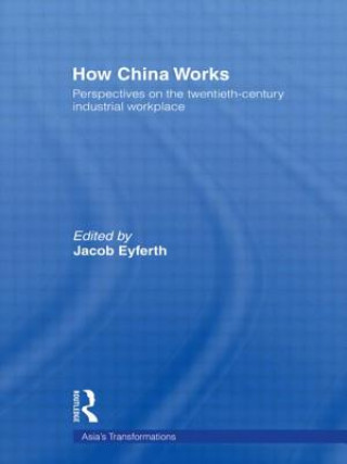 Kniha How China Works Jacob Eyferth