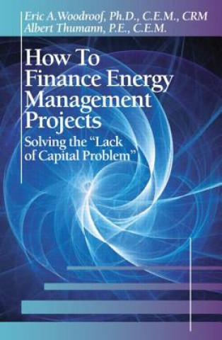 Könyv How to Finance Energy Managment Projects Thumann