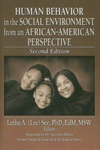 Könyv Human Behavior in the Social Environment from an African-American Perspective Letha A. See