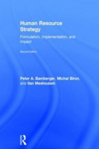 Kniha Human Resource Strategy Ilan Meshoulam