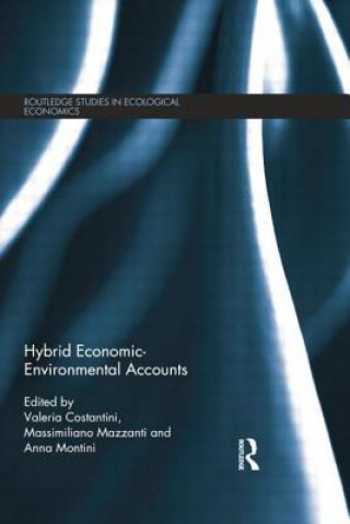 Kniha Hybrid Economic-Environmental Accounts 