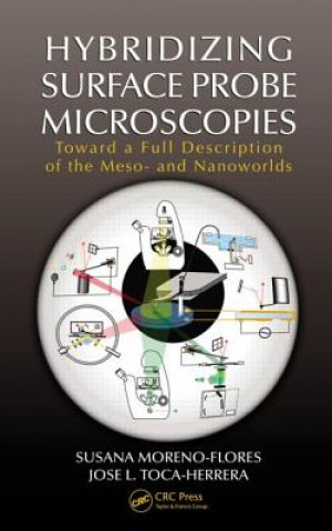 Könyv Hybridizing Surface Probe Microscopies Jose L. Toca-Herrera