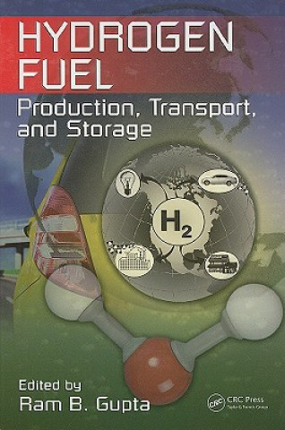 Книга Hydrogen Fuel 